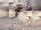 Yaz Ya���lar� Sivrisinekleri Kontrolden ��kard�