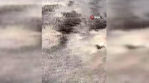 Yaz Yalar Sivrisinekleri Kontrolden kard