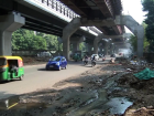Yeni Delhi'de 348 dang humması vakası bildirildi