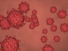 Yeni RSV vir�s� nedir? RSV vir�s� nedir? RSV �l�mc�l m�? RSV salg�n m� var?