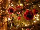 Yeni y�lda tercihlerinizi de�i�tirin