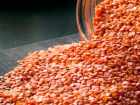 Yerli K�rm�z� Mercimek Hak Etti�i De�eri Bulam�yor
