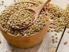 Ye�il mercimek zay�flat�yor