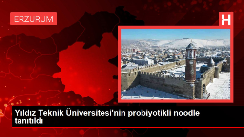 Yldz Teknik niversitesi'nin probiyotikli noodle tantld