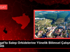 Yozgat'ta Salep Orkidelerine Y�nelik Bilimsel �al��ma Yap�ld�