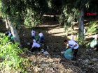 Y�re�ir Belediyesi, D�nya Temizlik G�n�'nde ��p toplama etkinli�i d�zenledi