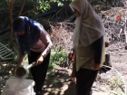 Y�zy�llard�r s�ren geleneksel y�ntemlerle pekmez yap�m�