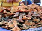 Zehirli mantar t�ketildi�inde ilk saatte 