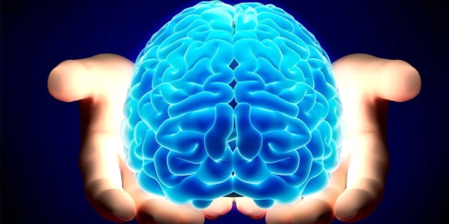 Zekayla �lgi En Yayg�n 5 Hurafe