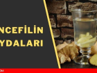 Zencefilin faydalar� ve zararlar�! Zencefil mideye dokunur mu?