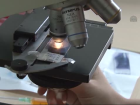 Zika De�il, Kkka ��in �nlem Al�nmal�