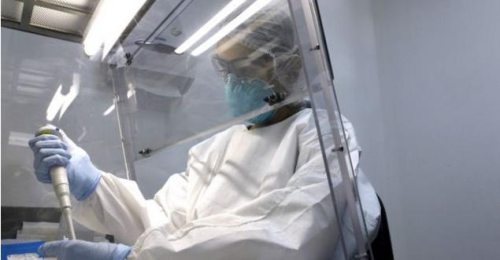 Zika virs 'byk bir salgna dnebilir'