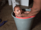 Zika Vir�s� Danimarka'da G�r�ld�