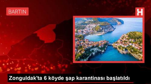 Zonguldak'ta 6 kye ap hastal kstlamas