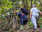 Zonguldak'ta F�nd�k Toplarken A�a�tan D��en Ki�i Aya��n� K�rd�