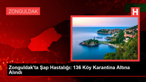 Zonguldak'ta ap Hastal: 136 Ky Karantina Altna Alnd