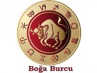 Burlara Gre Beslenme nerileri (Boa)