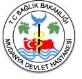 Mudanya Devlet Hastanesi