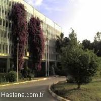 çukurova gaziantep kahramanmaraş şanlıurfa savunmaları